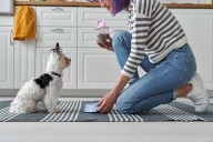 Pet Sitter Secretly Invited Friends Over While Not Spending Time with Pets