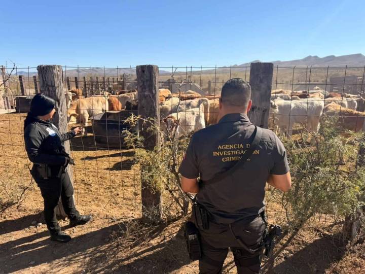Ganaderos y ejidatarios agradecen vigilancia en Ocampo, Coahuila