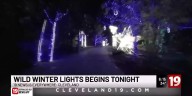 Wild Winter Lights begins at the Cleveland Metroparks Zoo