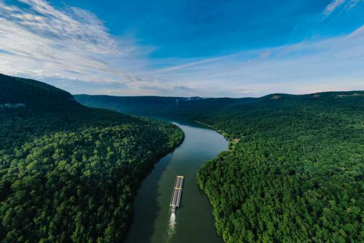 Qué es el medio ambiente, cómo funciona y por qué es clave para nuestra supervivencia
