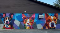 New mural on Vestavia Hills animal hospital