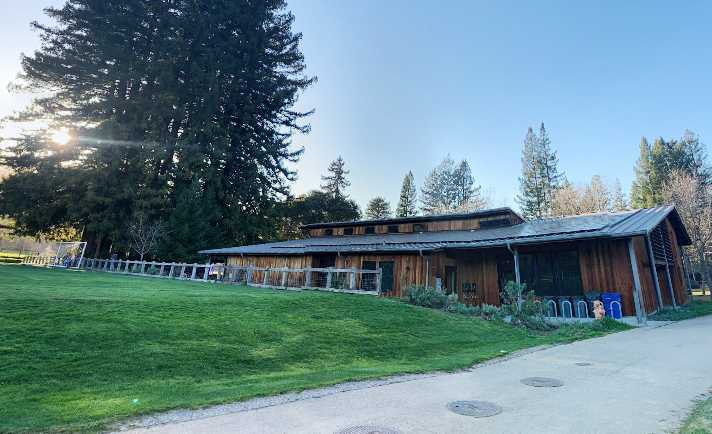 Rabid bat confirmed at Portola Valley Town Center