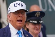 ‘Love to see that happen’: MAGA attorney floats military raid to free Tina Peters