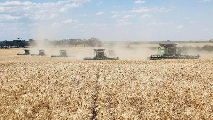 WA’s bin bursting grain harvest ramps up as receival site records tumble across the Mid West & Esperance