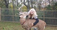 Tragedy as grandma mauled to death by deer she rescued and tried to domesticate