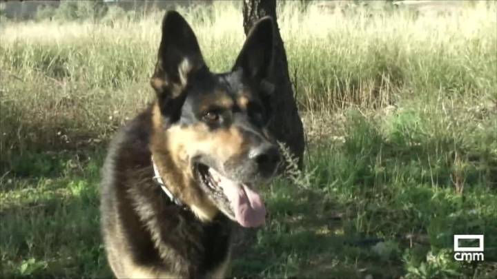 El agente canino Yaki se jubila en Letur