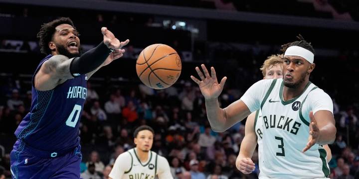 Bucks fall at Hornets 111-100 as Giannis sits