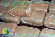 Procesan a José ‘N’ por transportar 100 kilos de marihuana en Michoacán