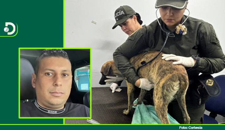 Fiscalía en Bolívar imputó cargos contra hombre que golpeó salvajemente a su perro