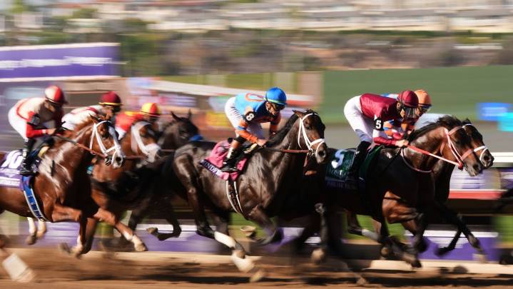 Forever Young wins $7M Breeders' Cup Classic