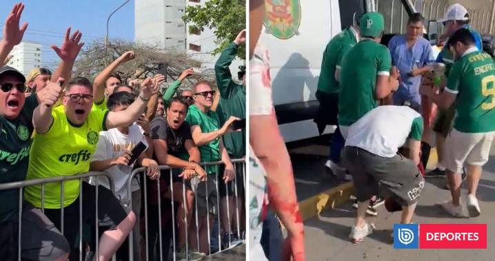 Hincha de Palmeiras murió en Perú a horas de final de Copa Libertadores: habría caído de bus turístico