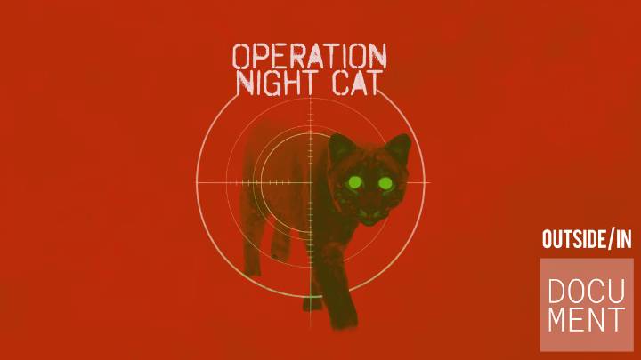 NHPR Presents: Operation Night Cat
