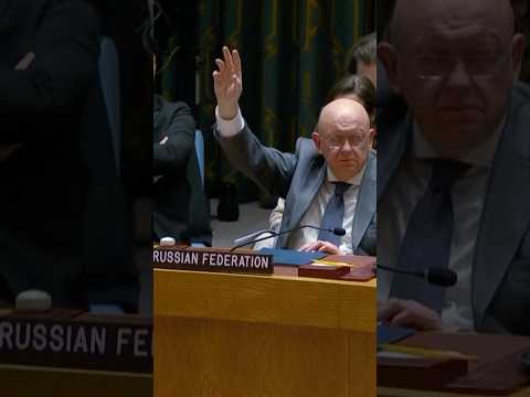 UN Security Council Backs Trump’s Gaza Peace Plan