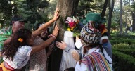 Contraen matrimonio en el Parque México 11 personas con un árbol