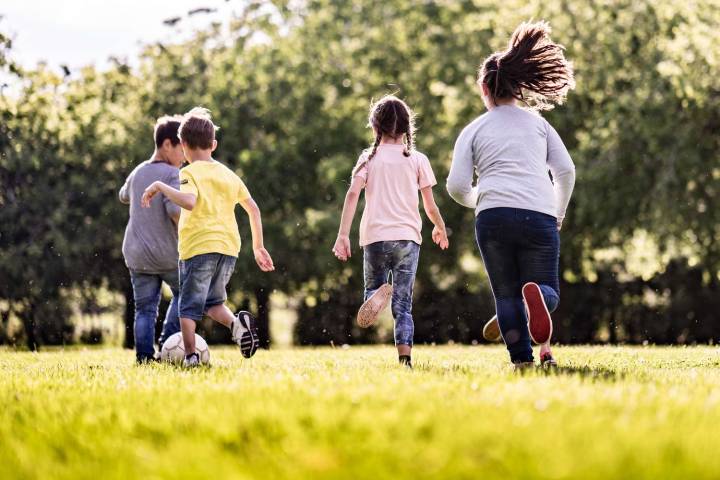 Woman Annoyed After Her Neighbor Lets Their Kids 'Run amok' on Her Property