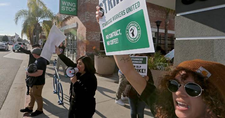 Unionized Starbucks baristas prepared to strike next week amid lengthy contract standoff