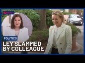Liberal Party In Disarray After Sussan Ley Slammed By Backbench Senator
