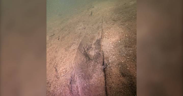 Archaeologists identify ancient canoes in prehistoric 'parking lot'