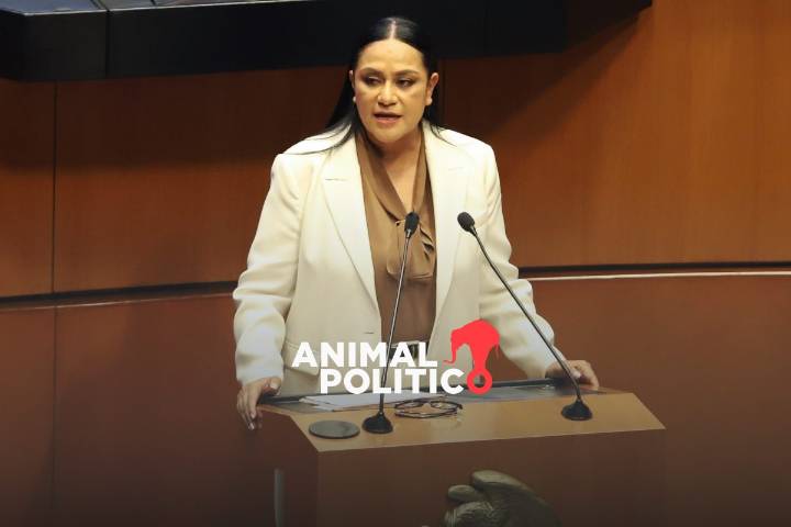 “Programas de Bienestar no son de ningún partido”: Montiel rechaza que se utilicen con fin electoral