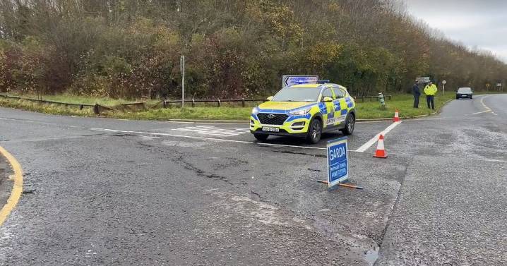 Co Louth crash: Three men and two women killed in 'devastating' car accident