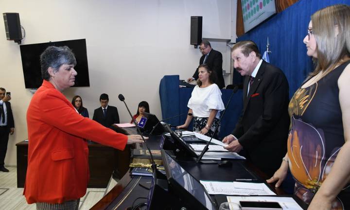 Adrián Bogado, Gabriela Neme y Mara Amarilla juraron, con reservas, la nueva Constitución de la Provincia