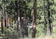 Larimer County awarded $9.8 million wildfire defense grant for Gateway to the Rockies