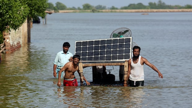 COP30 failed to land a deal on the fossil fuel transition. Countries are moving forward anyway