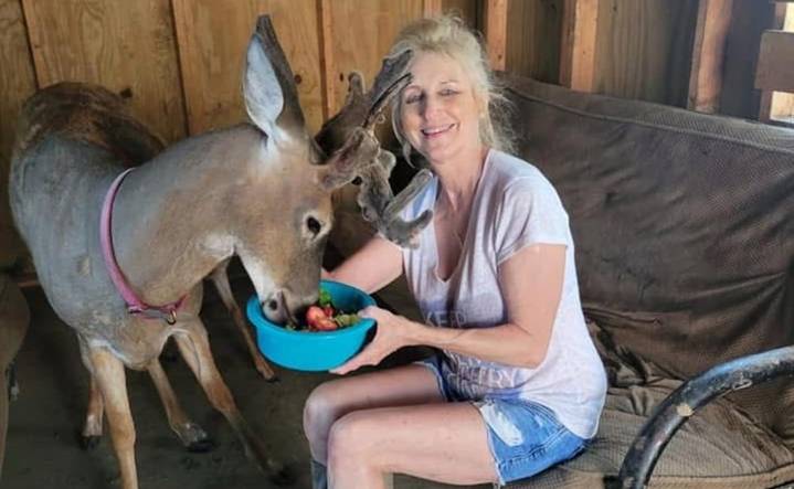 ¿Quién era Jodi Proger, activista que fue atacada por un venado que rescató?