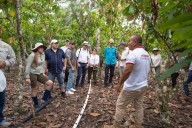San Martín y Suiza blindan el futuro del cacao peruano: Firman pacto por una producción libre de deforestación
