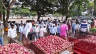 Nashik: Onion Prices Rise To ₹2,200 Per Quintal As Supply Declines Post