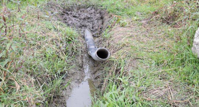 Frenan vertimientos ilegales al río Bogotá desde una planta de sacrificio animal en Cundinamarca