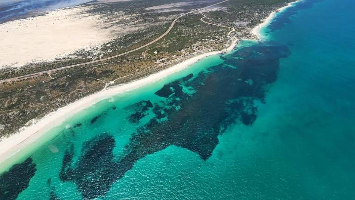 Cervantes: Aussie discovers ‘interesting’ detail about ‘bumf..k’ town on WA’s coast