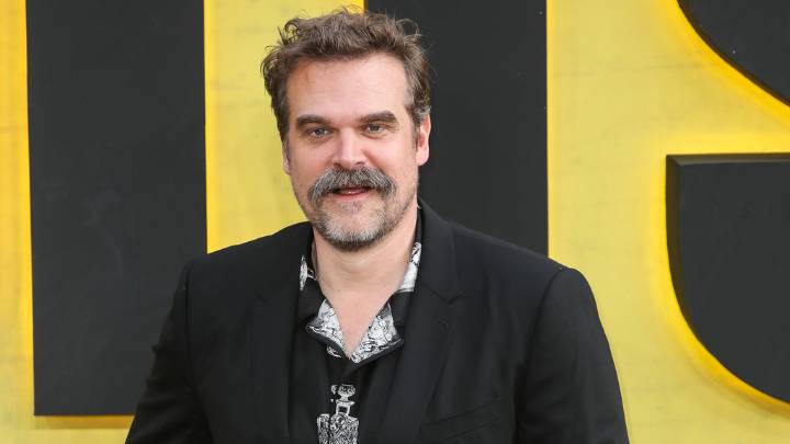Millie Bobby Brown accuses David Harbour of harassment