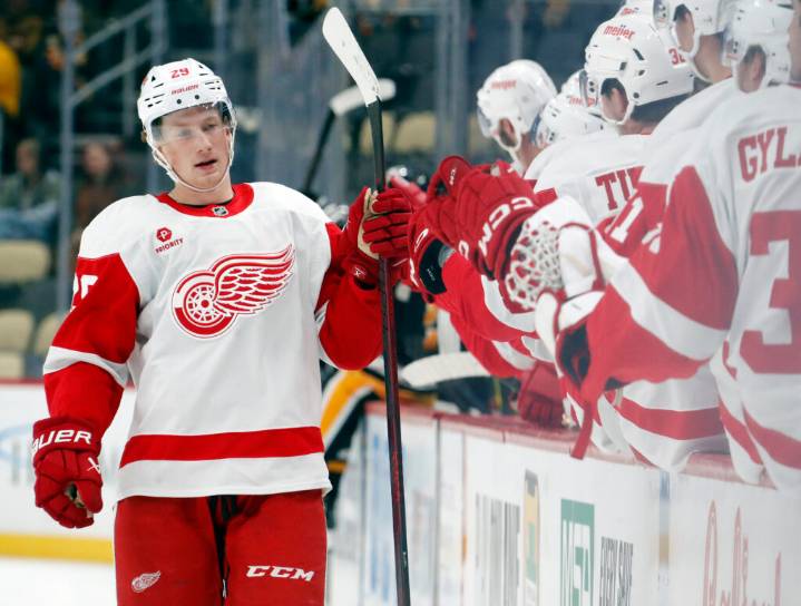 Detroit Red Wings Recall Nate Danielson