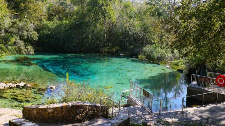 Hidden Gem: Blue Hole reveals Ichetucknee Springs' silent, surging heart