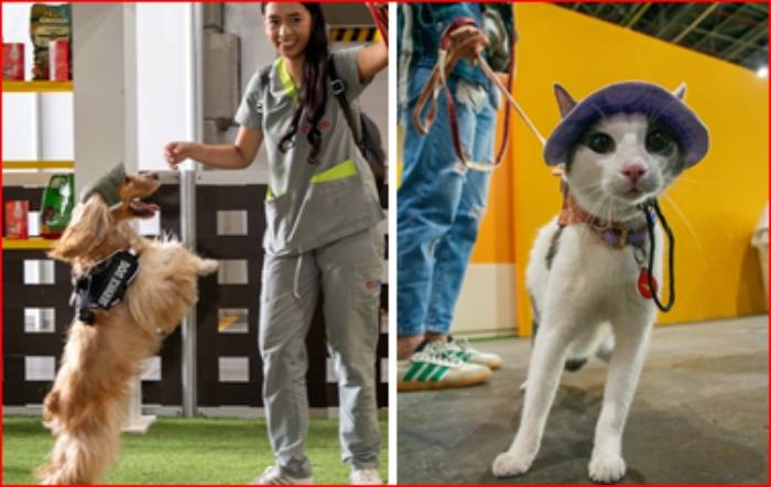 Del 20 al 23 de noviembre ‘Expopet Medellín’ en Plaza Mayor, ¡Ojo a la programación!