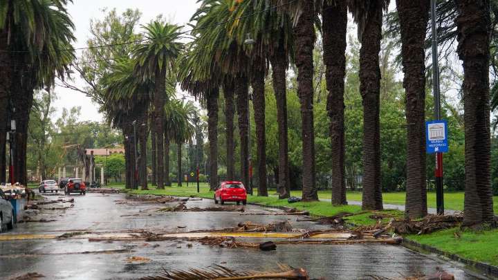 El tiempo en Rosario: domingo ventoso después del alerta naranja por tormentas