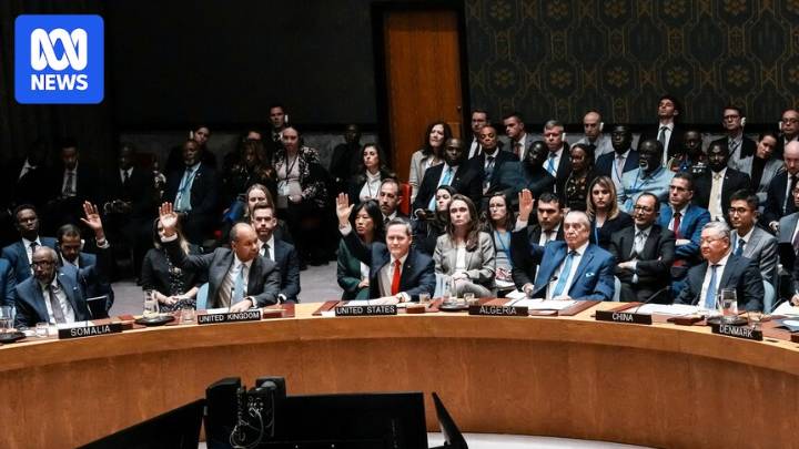 UN Security Council backs US plan for Gaza