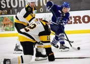 Boulton powers Brantford to victory | The West Elgin Chronicle