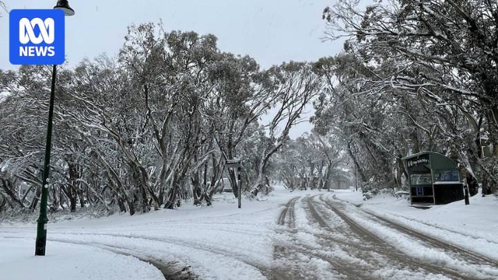 Rescue underway at Mount Buller for man caught in unexpected November snow dump