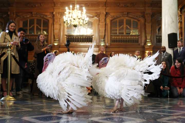 Trump pardons Thanksgiving turkeys Waddle and Gobble and jabs political rivals