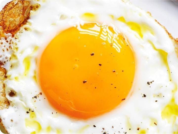 Truth about protein in egg yolks revealed