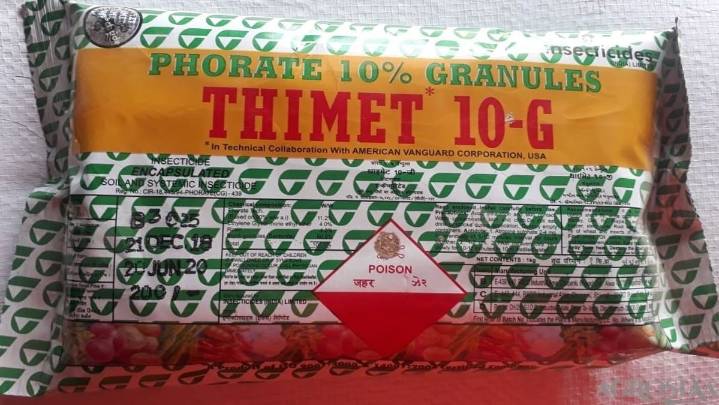 Odisha: 3 children critical after accidentally consuming Thimet in Balasore