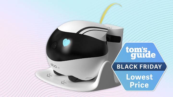 I used this home security robot that went viral on TikTok to watch my home from 4,000 miles away