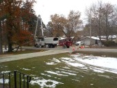 Another tree bites the dust: Whit & Whimsey