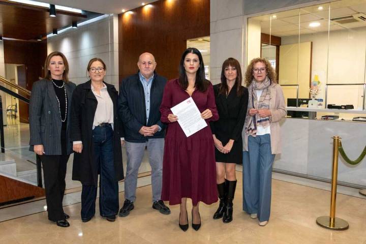 El PSOE impulsa un Pleno extraordinario en Diputación para esclarecer las detenciones