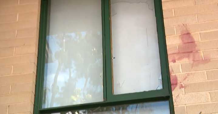 Cops called to single housing trust complex up to seven times a day