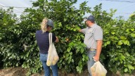 Bartow farm opens a citrus u