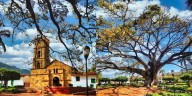 El municipio con los árboles tropicales más grandes de Colombia: también llama la atención por los pozos y cascadas