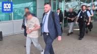 Three Tasmanian men arrested, extradited to NSW over alleged harness racing drug syndicate